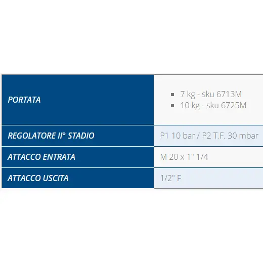 6713M scheda tecnica.webp