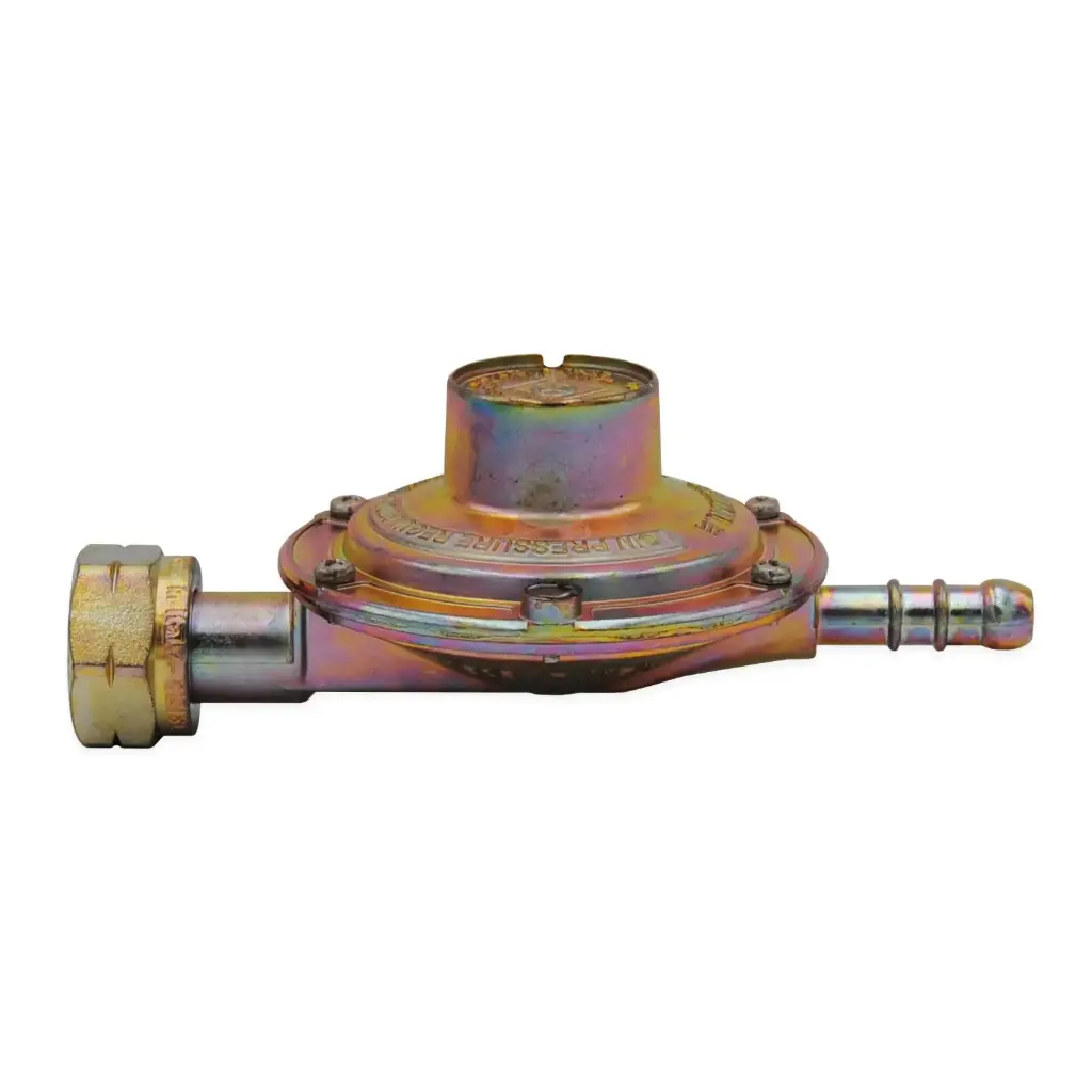 Regolatore Bassa Pressione Portata 1.1Kg/h