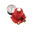 Regolatore I° Stadio Alta Pressione Portata 30Kg/h - Mod.APZ250 Novacomet