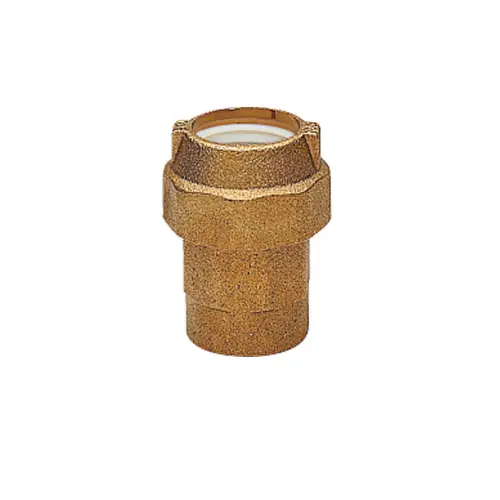 Raccordo F in Ottone per Tubo Polietilene (20 x 1/2")